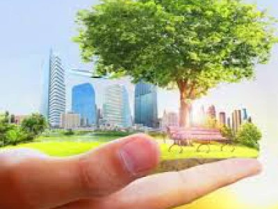 Ұлттық парктердің жұмысына шенеуніктердің араласуы табиғат өліміне алып келеді-Мәжіліс депутаты.