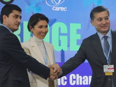 Назарбаева: Бұл өңірдің тұрақты дамуы үшін өмірлік маңызды мәселе.