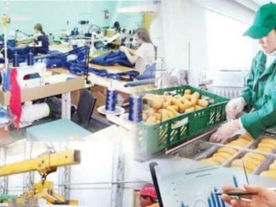 Елімізде 1,2 млн кәсіпкерді салықтан босатты.