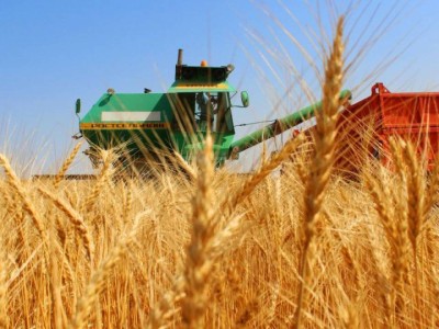 Банктер ауылшаруашылығы саласын несиелендіруді 48,3% — ға қысқартты.
