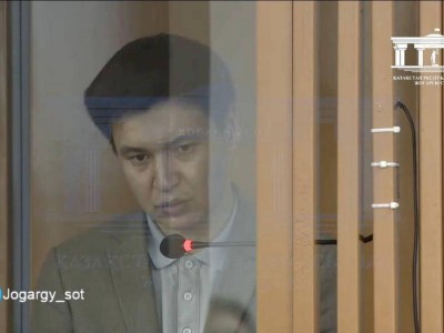 Салтанат Нүкенованың өлімі: Бишімбаевтың інісі амнистия сұрап өтініш берді