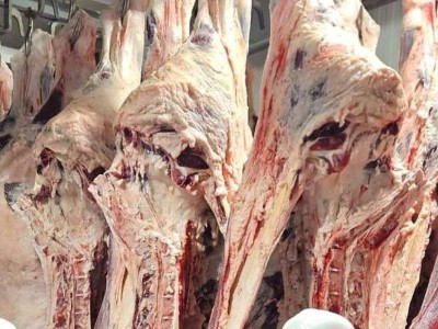 Министрлік мәлімдеме жасады: Киік еті қауіпсіз