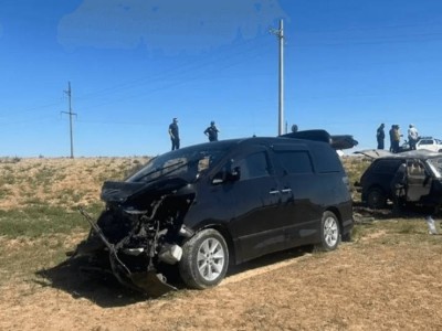 Қараусыз малдан жол-көлік оқиғалары артуда