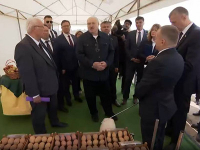 Лукашенко Путин мен Си Цзиньпинге қаппен картоп апармақ