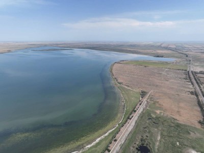 Сорбұлақ мәселесі: Данияр Қасқарауов Үкімет деңгейінде шешуді талап етті