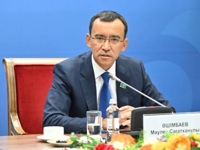 Сенат спикері бір палаталы парламент туралы ойын айтты