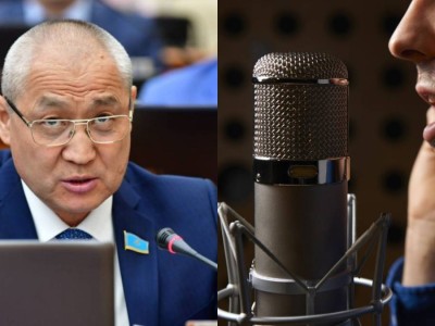 "Фонограммамен ән айтуға тыйым салынады": Мәжілісте ел асыға күткен заң қабылданды