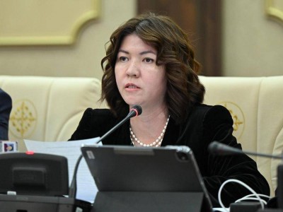 Сүлейменоваға бағытталған сын садағы: Министр шұғыл мәлімдеме жасады