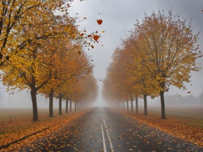 24 қазанға арналған ауа райы болжамы