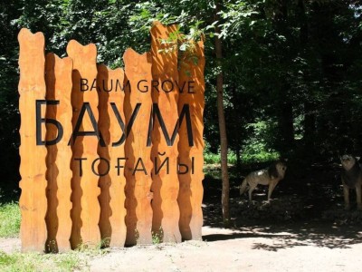 «BAZIS-A» корпорациясы Баума тоғайына қатысты маңызды мәлімдеме жасады