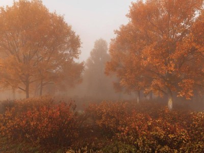 30 қазан күнгі ауа райы болжамы