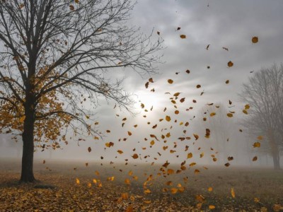 31 қазан күнгі ауа райы болжамы