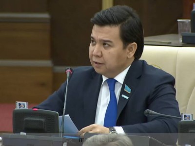 Мәжіліс депутаты некесіз баласы барын растады