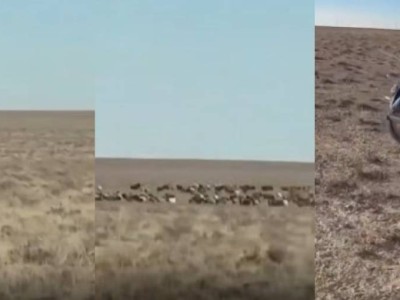 Полицейлер далада малшының мотоциклін алып кетті