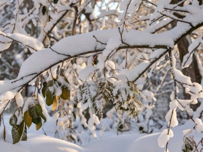 Қазақстанда қыс қандай болатыны айтылды