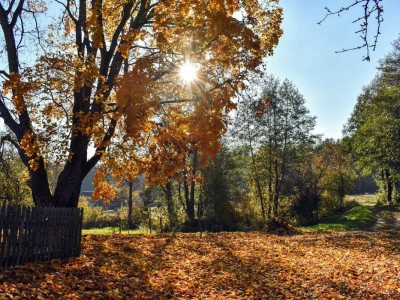 +14 градусқа дейін жылы болады: 19 қарашаға арналған ауа райы болжамы