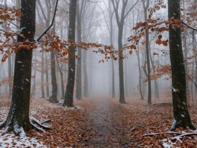 20 қарашаға арналған ауа райы болжамы