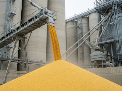 Солтүстік Қазақстанда жұмысшысы элеватордағы астыққа батып қаза тапты