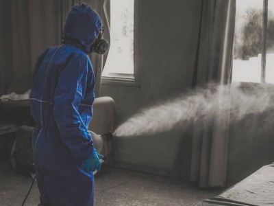 Инфекционистер алаңдаулы: құс тұмауы COVID-19-дан да қауіпті болуы мүмкін