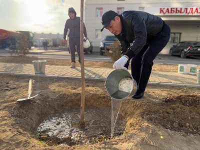"Таза Қазақстан": Ақтауда 7 мыңнан астам ағаш отырғызылды