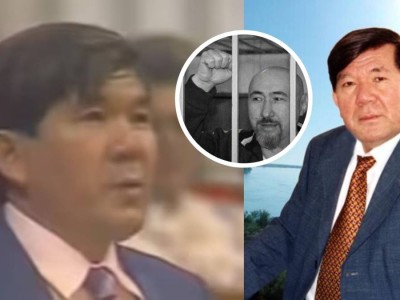 "Шахановтың сөзін дайындап берген – Арон Атабек": Диссиденттің қызы ел естімеген шындықты айтты