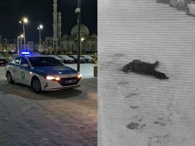 Астанада екі бөлек ауданнан ер адам мен әйелдің денелері табылды