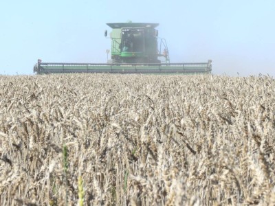 Қостанай облысында дән өңдеу көлемі артып, экспорттық қуаттар кеңеюде