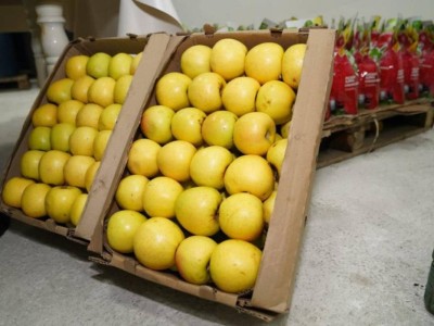 Түркістан облысында жеміс-жидектерді терең өңдейтін зауыт іске қосылды