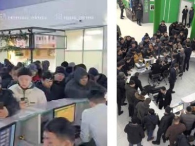 Көлік нөмірін еркін таңдау: Мамандандырылған ХҚКО-ларда кептеліс пайда болды