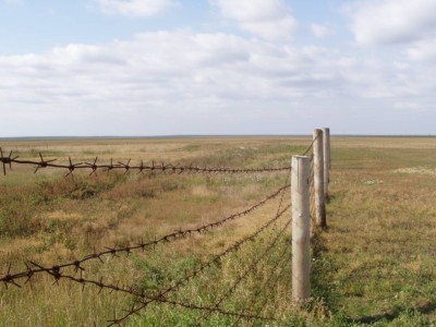 «Аумақты контрабанда үшін пайдаланылуда»: депутат Қазақстан шекарасының осал тұстарын айтты