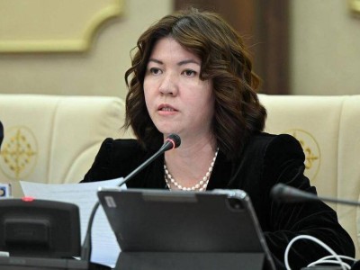 Заң талабына сай келмейтін жекеменшік мектептер жабылады – Жұлдыз Сүлейменова