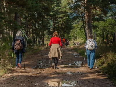 Отандық туризмнің басты проблемасы аталды