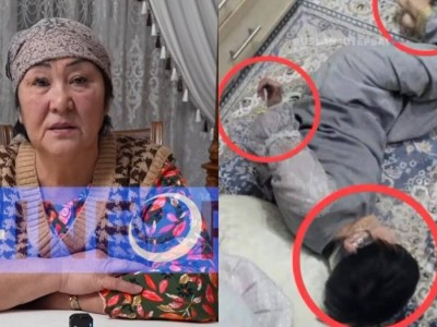 "Аяқтан шалу": Құндыздың қамқоршысы тараған видеоға қатысты өз шындығын айтты