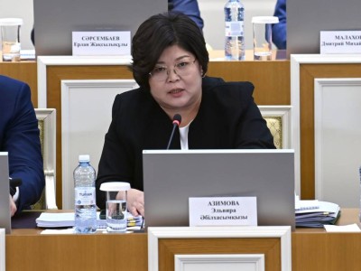 Конституциялық комиссия халықтан түскен ұсыныстарды неге жария етпейді?