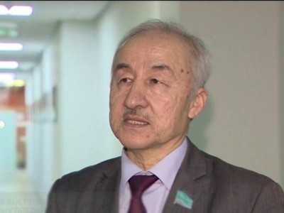 Инвестиция конституциямен емес, салалық заңдармен реттелуі тиіс – экономист