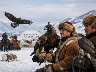 ШҚО-да құсбегіліктен чемпионат өтіп жатыр