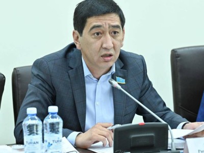 "Мемлекеттік тілмен еш тіл тең емес, қатар ғана": Ринат Зайыт Конституцияға енгізілген өзгеріс туралы айтты