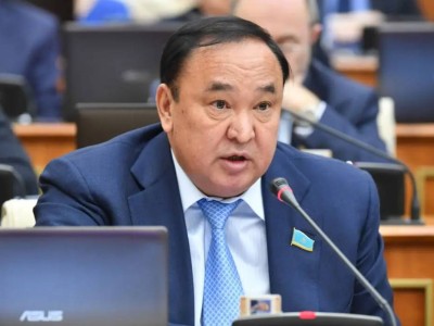 Экономиканы ырықтандыру туралы жарлық қағаз жүзінде ғана орындалды – депутат