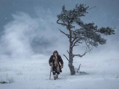 Мал іздеуге шыққан: Жамбыл облысында шопан жоғалып кетті