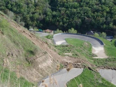 «Көкжайлауға» баратын жол үшін Алматы тауларында 2,2 мың ағаш кесіледі