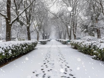 Қазақстанның басым бөлігінде аяз күтіледі