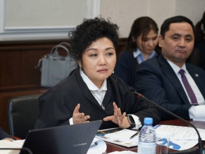 Жаңа Конституция цифрлық дәуірде адам құқықтарын қорғауды күшейтеді – «Әділ сөз» қорының президенті