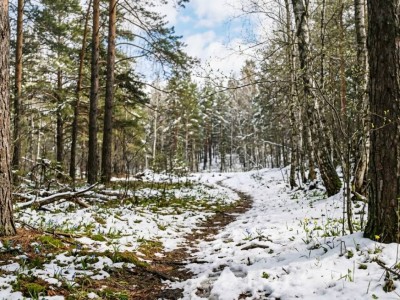 26 наурызға арналған ауа райы болжамы