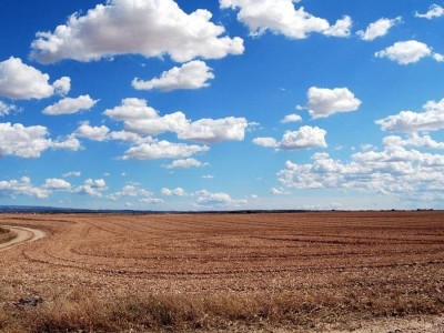 Қазақстан ауыл шаруашылығы алқаптары бойынша әлемдегі үздік 6 елдің қатарына енді