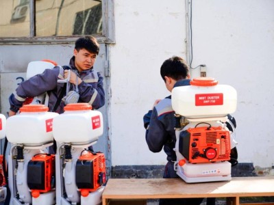 Астанада маса мен шіркейге қарсы күрес жұмысы қалай өтеді?