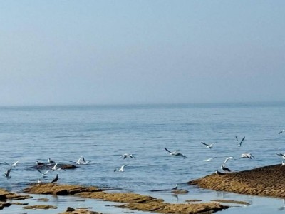 Каспий теңізінің тартылып кету қаупі бар ма: Ғалымдар күтпеген болжам айтты