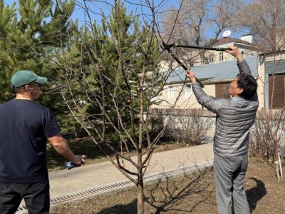 «Өзіңнен баста!»: Астанада мәдениет саласының өкілдері тазалық челленджіне қатысты
