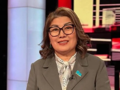 Бір итке жұмсалатын қаржы баланың бір айлық жәрдемақысынан көп – депутат