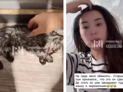 Мысықты кір жуғыш машинаға салып өлтірген. Анасы өз ұлын айыптады