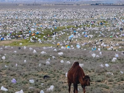 “Таза Қазақстан”: Қилыбай Тоқаевтың тапсырмасын орындай алмай отыр ма?
